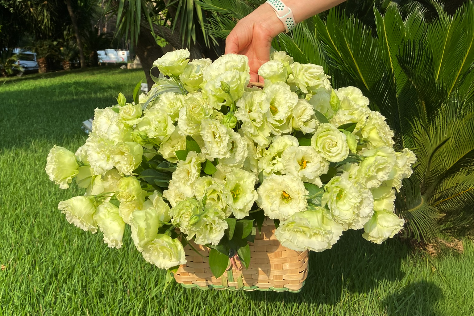 Sadece buket değil, atmosfer hazırlıyoruz